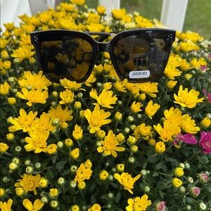 Jason Wu Sunglasses